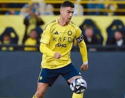 完全没有对手！无敌阪神虎史上最速封王｜日职